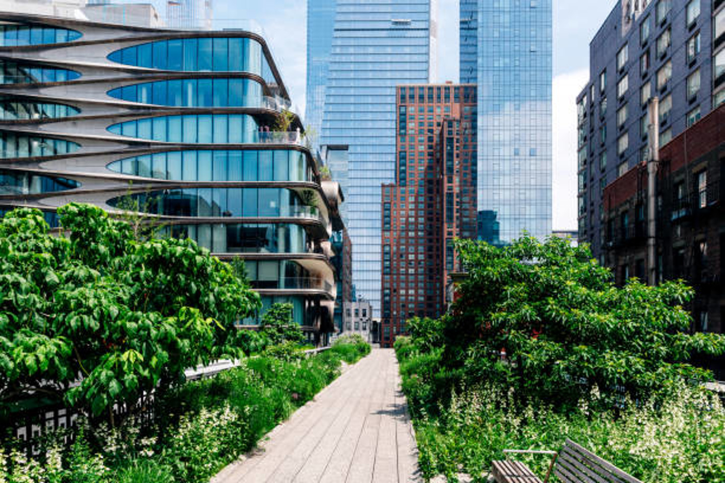 Image of greenery and office buildings